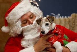 PetSmart - Santa